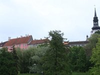 EST, Harjumaa, Tallinn 22, Saxifraga-Hans Boll