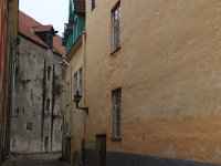 EST, Harjumaa, Tallinn 9, Saxifraga-Hans Boll