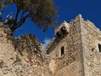 E, Mallorca, Alaro, Castel d Alaro 19, Saxifraga-Hans Dekker