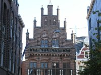NL, Groningen, Groningen, Wijnhuis 1, Saxifraga-Hans Dekker
