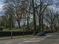 NL, Noord-Brabant, Tilburg, Bredaseweg 9, Saxifraga-Jan van der Straaten