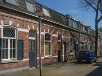 NL, Noord-Brabant, Tilburg, Capucijnenstraat 1, Saxifraga-Jan van der Straaten