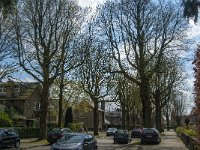 NL, Noord-Brabant, Tilburg, Zorgvlied 1, Saxifraga-Jan van der Straaten