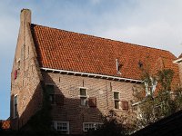 NL, Overijssel, Deventer 16, Saxifraga-Hans Dekker