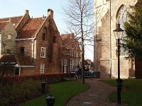 NL, Overijssel, Deventer 18, Saxifraga-Hans Dekker