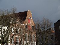 NL, Overijssel, Deventer 23, Saxifraga-Hans Dekker