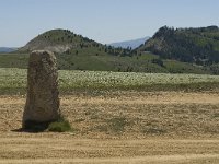 F, Lozere, Les Bondons 1, Saxifraga-Marijke Verhagen