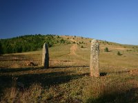 F, Lozere, Les Bondons 11, Saxifraga-Dirk Hilbers