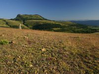 F, Lozere, Les Bondons 13, Saxifraga-Dirk Hilbers