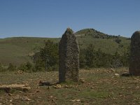 F, Lozere, Les Bondons 18, Saxifraga-Marijke Verhagen