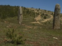 F, Lozere, Les Bondons 19, Saxifraga-Marijke Verhagen