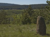 F, Lozere, Les Bondons 26, Saxifraga-Marijke Verhagen