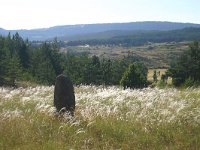 F, Lozere, Les Bondons 7, Saxifraga-Dirk Hilbers