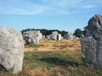 F, Morbihan, Carnac 1, Saxifraga-Hans Dekker