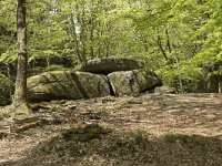 F, Nievre, Dun-les-Places, Dolmen Chevresse 1, Saxifraga-Willem van Kruijsbergen