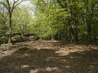 F, Nievre, Dun-les-Places, Dolmen Chevresse 3, Saxifraga-Willem van Kruijsbergen