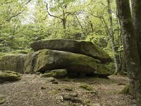 F, Nievre, Dun-les-Places, Dolmen Chevresse 6, Saxifraga-Willem van Kruijsbergen