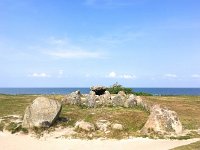 D, Schleswig-Holstein, Sylt, Harhoog 2, Saxifraga-Bart Vastenhouw