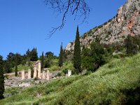 Gr, Phocis, Delphi 3, Saxifraga-Kars Veling