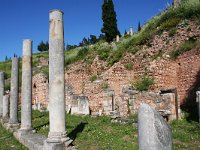 Gr, Phocis, Delphi 4, Saxifraga-Kars Veling