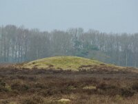 NL, Utrecht, Hilversum, dome tomb, Bussumse Heide 3, Saxifraga-Foto Fitis-Sytske Dijksen