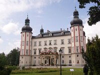 CZ, Trutnov, Vrchlabi 4, Saxifraga-Foto Fitis-Sytske Dijksen