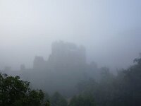 D, Rheinland-Pfalz, Wierschem, Burg Eltz 2, Saxifraga-Sytske Dijksen