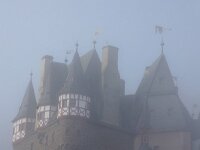 D, Rheinland-Pfalz, Wierschem, Burg Eltz 3, Saxifraga-Sytske Dijksen