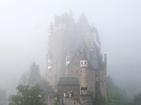 D, Rheinland-Pfalz, Wierschem, Burg Eltz 4, Saxifraga-Sytske Dijksen
