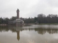 NL, Gelderland, Ede, Nationaalpark De Hoge Veluwe 99, Saxifraga-Jan Nijendijk