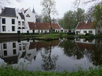 NL, Zuid-Holland, Albrandswaard, Kasteel Rhoon 1, Saxifraga-Sytske Dijksen