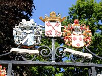 NL, Zuid-Holland, Leiden, Burcht 2, Saxifraga-Sytske Dijksen