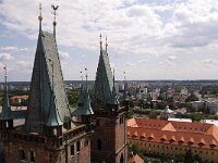 CZ, Hradec Kralove, Hradec Kalove 5, Saxifraga-Foto Fitis-Sytske Dijksen