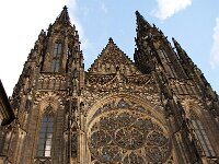 CZ, Praha, Praha 7, Saxifraga-Foto Fitis-Sytske Dijksen