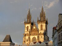 CZ, Praha, Praha 8, Saxifraga-Foto Fitis-Sytske Dijksen