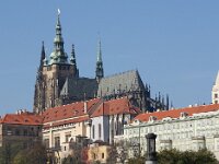 CZ, Praha, Praha 9, Saxifraga-Foto Fitis-Sytske Dijksen