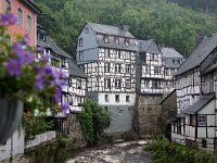 D, Nordrhein-Westfalen, Monschau 6, Saxifraga-Foto Fitis-Sytske Dijksen