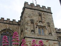 GB, Cornwall, Bodmin 2, Saxifraga-Foto Fitis-Sytske Dijksen