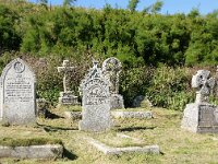 GB, Cornwall, Church Cove 1, Saxifraga-Foto Fitis-Sytske Dijksen