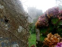 GB, Cornwall, Veryan 6, Saxifraga-Foto Fitis-Sytske Dijksen