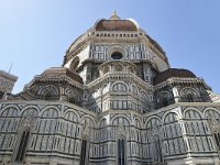 I, Firenze, Firenze, Santa Maria del Fiori 2, Saxifraga-Tom Heijnen