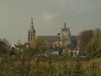 NL, Noord-Brabant, 's Hertogenbosch, Sint Jan 8, Saxifraga-Jan van der Straaten