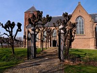NL, Noord-Brabant, Geertruidenberg, Raamsdonk 1, Saxifraga-Hans Dekker