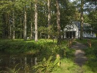 NL, Noord-Brabant, Oirschot, De Heilige Eik 3, Saxifraga-Jan van der Straaten