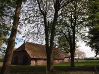 NL, Drenthe, Coevorden, Klooster 1, Saxifraga-Hans Dekker