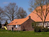 NL, Drenthe, Midden-Drenthe, Witteveen 3, Saxifraga-Hans Dekker