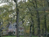 NL, Friesland, Kollumerland, Veenklooster 2, Saxifraga Hans Boll