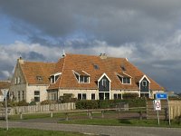 NL, Friesland, Terschelling, Hee 2, Saxifraga-Jan van der Straaten