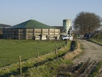 NL, Noord-Brabant, Waalre, Timmereind 1, Saxifraga-Jan van der Straaten