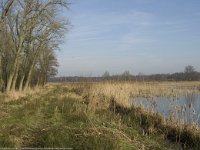 NL, Noord-Brabant, Valkenswaard, fishponds 22, Saxifraga-Jan van der Straaten